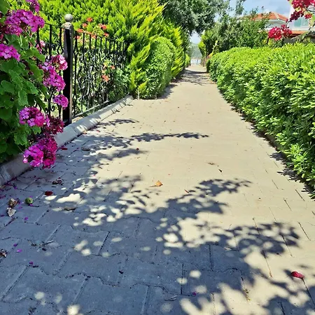 ヴィラ Family Friend Pool 3b 1 Alacati Cesme Ildir