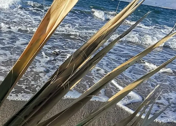 Family Friend Pool 3b 1 Alacati Cesme Vila *