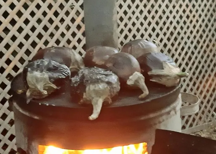 Family Friend Pool 3b 1 Alacati Cesme * Ildiri